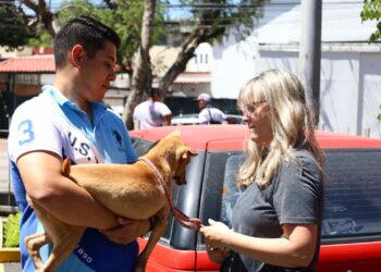 Adoptar un perro es un acto de amor y responsabilidad