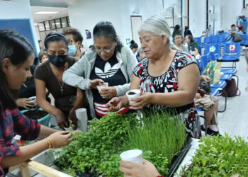 Adultos mayores capacitados en huertos familiares
