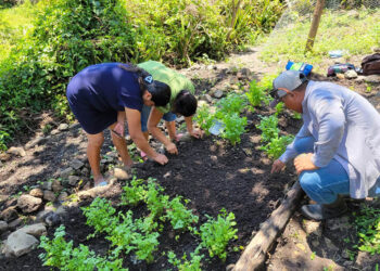 Agricultores de Chiquimula beneficiados con nuevos huertos comunitarios