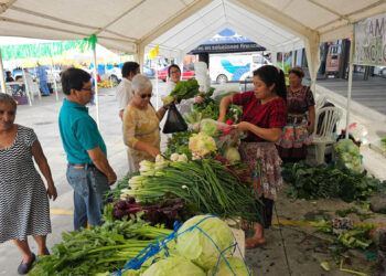 Agricultores de Coatepeque impulsan sus producciones en Feria del Agricultor