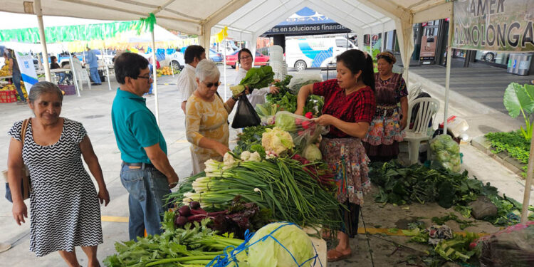 Agricultores de Coatepeque impulsan sus producciones en Feria del Agricultor