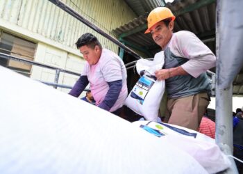 Entrega de semillas benefician a productores afectados por sequía