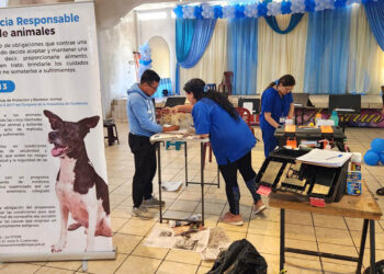 Atienden a mascotas afectadas por gusano barrenador en Sacatepéquez