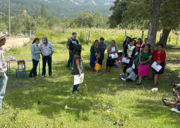 Avances de estrategia Mano a Mano fortalecen agricultura familiar en Guatemala