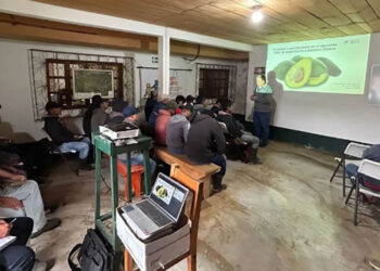Capacitadas 872 personas para el control de plagas cuarentenarias del Aguacate Hass