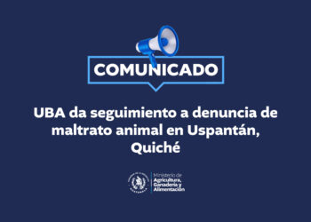 UBA da seguimiento a denuncia de maltrato animal en Uspantán, Quiché