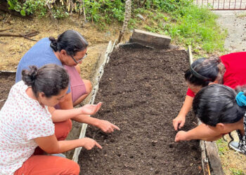 Comunidad de Los Cimientos implementa su primer huerto comunitario