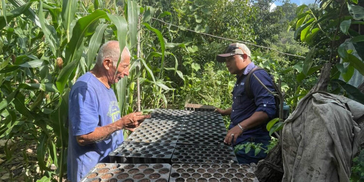 Agricultores de Chiquimula capacitados en la elaboración de semilleros