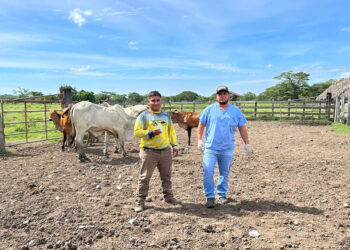 Con acciones de combate al Gusano Barrenador se fortalece la sanidad animal