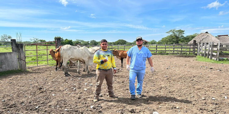 Con acciones de combate al Gusano Barrenador se fortalece la sanidad animal
