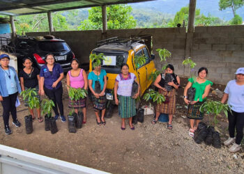 Donación de plantas frutales y semillas fortalece CADER de Huehuetenango