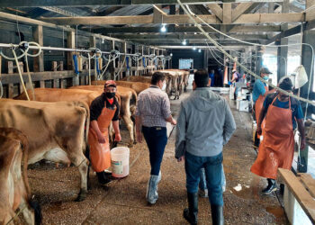 Emisión de 86 licencias sanitarias refuerza la inocuidad de la leche