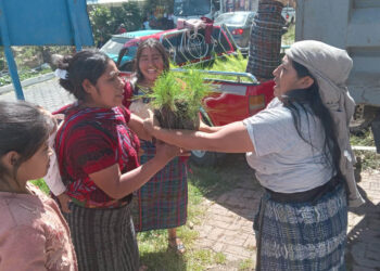 Entregan 10 mil plantas forestales a comunidades aledañas al río Cuilco