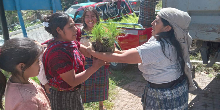 Entregan 10 mil plantas forestales a comunidades aledañas al río Cuilco