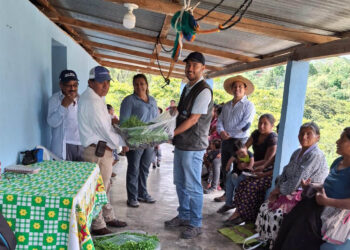 Entregan 20 mil pilones de hortalizas para huertos familiares en Jalapa