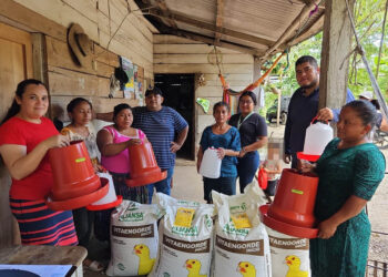 Entregan 48 mini granjas que impulsan producción avícola en Petén