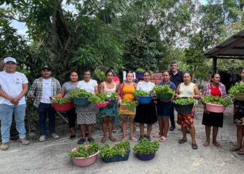 Entregan más de tres mil pilones a productoras de Melchor de Mencos