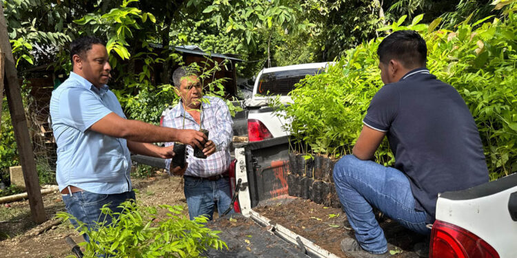 Entregan plantas forestales como parte de modelo de ganadería sostenible