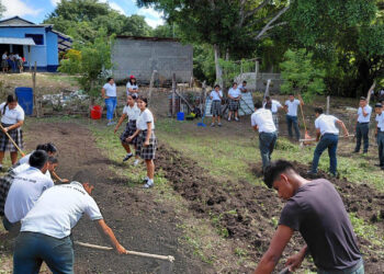 Escolares de Santa Ana aprenden a cultivar en huerto escolar