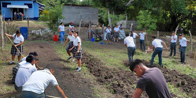 Escolares de Santa Ana aprenden a cultivar en huerto escolar
