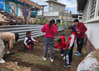Estudiantes aprenden a cultivar conocimientos y alimentos sanos
