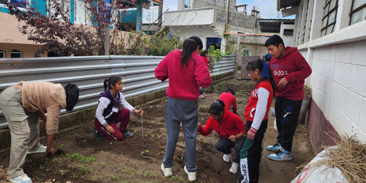 Estudiantes aprenden a cultivar conocimientos y alimentos sanos