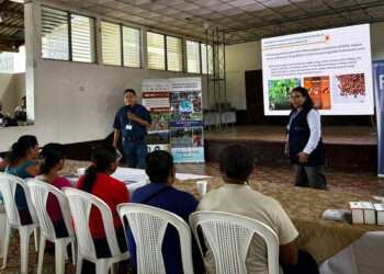 Extensionistas de Zacapa y Chiquimula participan en taller de la FAO sobre temas clave