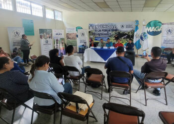 Feria del Agricultor fortalecerá economía en Alta Verapaz
