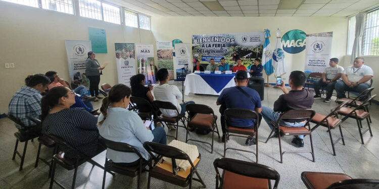 Feria del Agricultor fortalecerá economía en Alta Verapaz