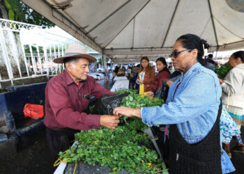 Feria del Agricultor llega a Bárcena, Villa Nueva