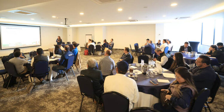 Finalizan talleres que fortalecen propuesta de política agropecuaria 2026-2032