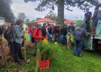 Fomentan conciencia ambiental con jornada de reforestación en Chimaltenango