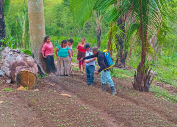 Fortalecen capacidades agrícolas en comunidad de San Luis, Petén