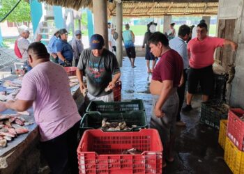 Fortalecen la pesca artesanal en Las Lisas