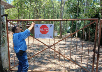 Fortalecen la vigilancia para prevenir influenza aviar en Chimaltenango