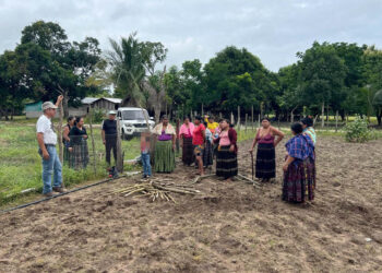 Fortalecen producción agrícola y seguridad alimentaria en Sayaxché