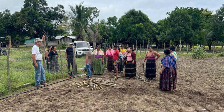 Fortalecen producción agrícola y seguridad alimentaria en Sayaxché