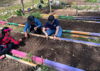 Fortalecen seguridad alimentaria en Chiquimula con acciones agrícolas y validación de menús escolares