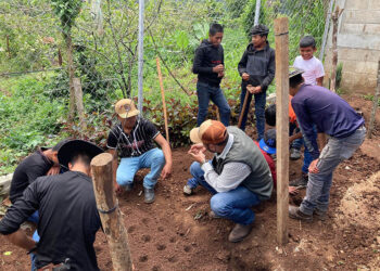 Huertos escolares fortalecen el aprendizaje y la alimentación en Jalapa