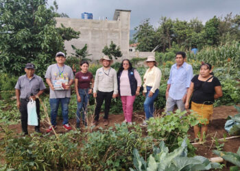 Huertos familiares impulsan la seguridad alimentaria en Santa Rosa