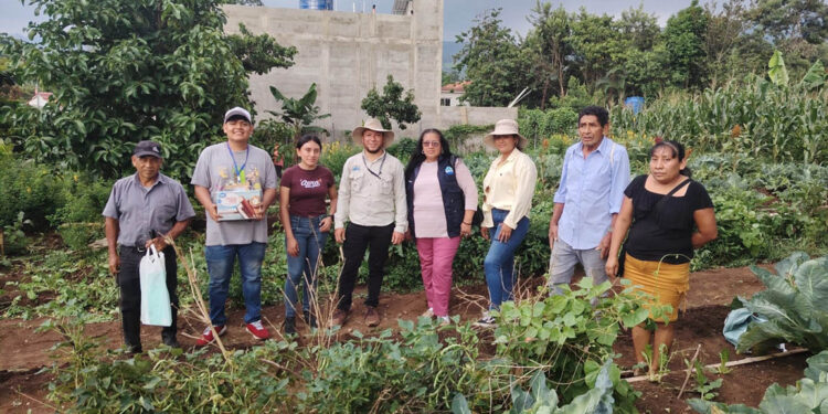 Huertos familiares impulsan la seguridad alimentaria en Santa Rosa