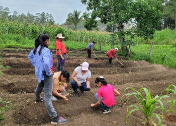 Implementan huerto familiar en Poptún
