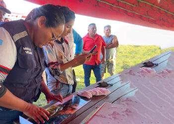 Impulsan pesca sostenible y dinamización económica en el lago Petén Itzá