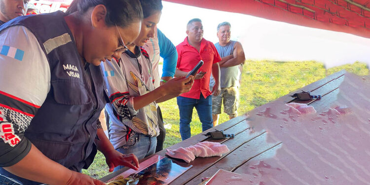 Impulsan pesca sostenible y dinamización económica en el lago Petén Itzá