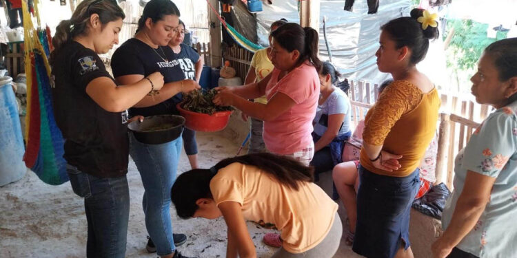 Impulsan procesos para fortalecer producción de aves de patio en Chiquimula