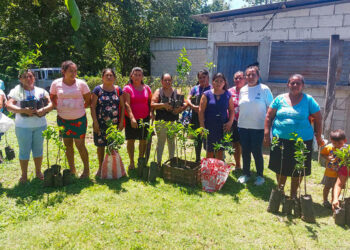 Impulsan producción de frutales en San Andrés, Petén