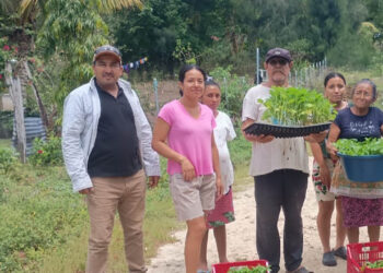Impulsan producción familiar en Melchor de Mencos