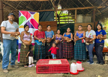 Impulsan seguridad alimentaria con entrega de insumos avícolas