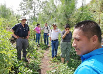 Impulsando la innovación en producción agrícola y la seguridad alimentaria de Alta Verapaz