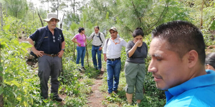 Impulsando la innovación en producción agrícola y la seguridad alimentaria de Alta Verapaz